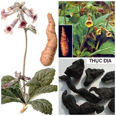 Le Huu Trac chua benh tan goc anh 2