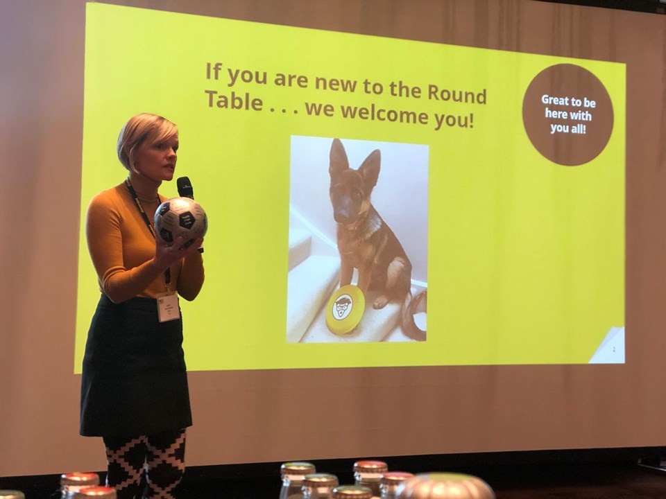 Sach Thai Ha tham gia ban tron Dummies anh 3