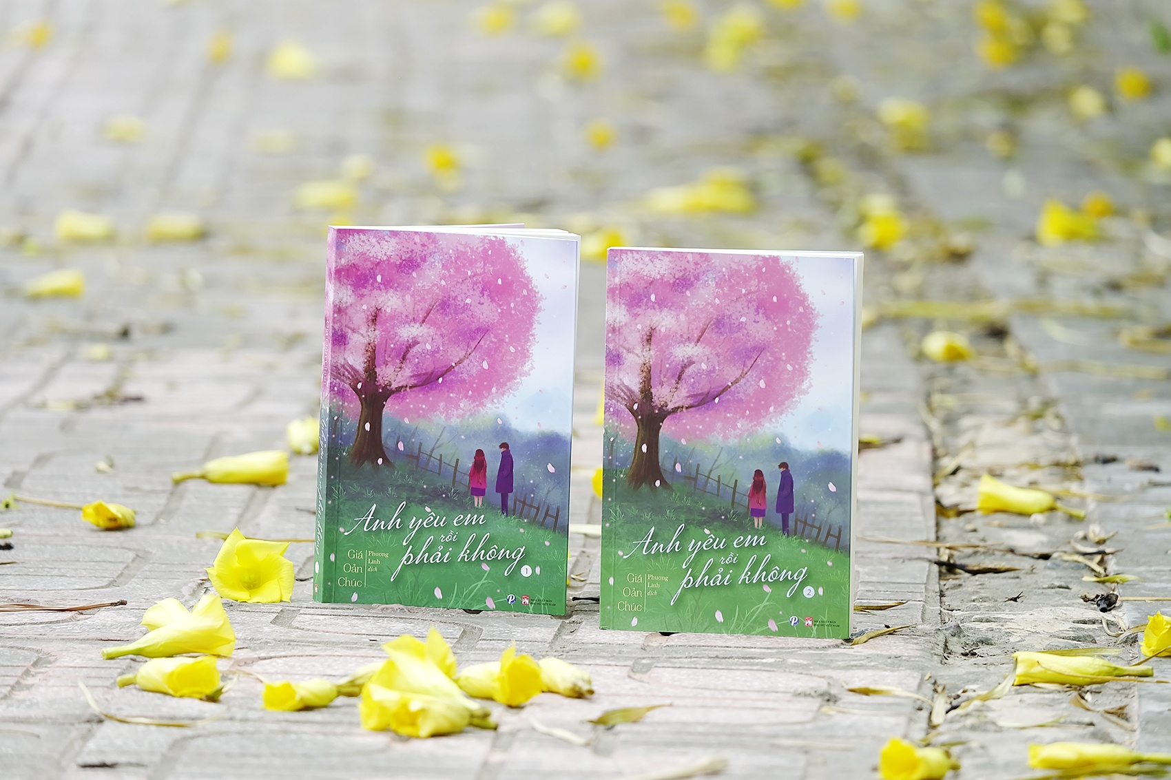 Anh yeu em roi phai khong anh 2