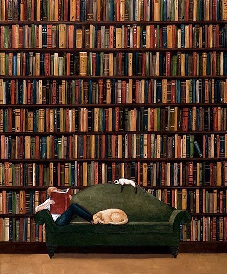 Tôi nghiện sách ảnh 2 Toi nghien sach anh 2