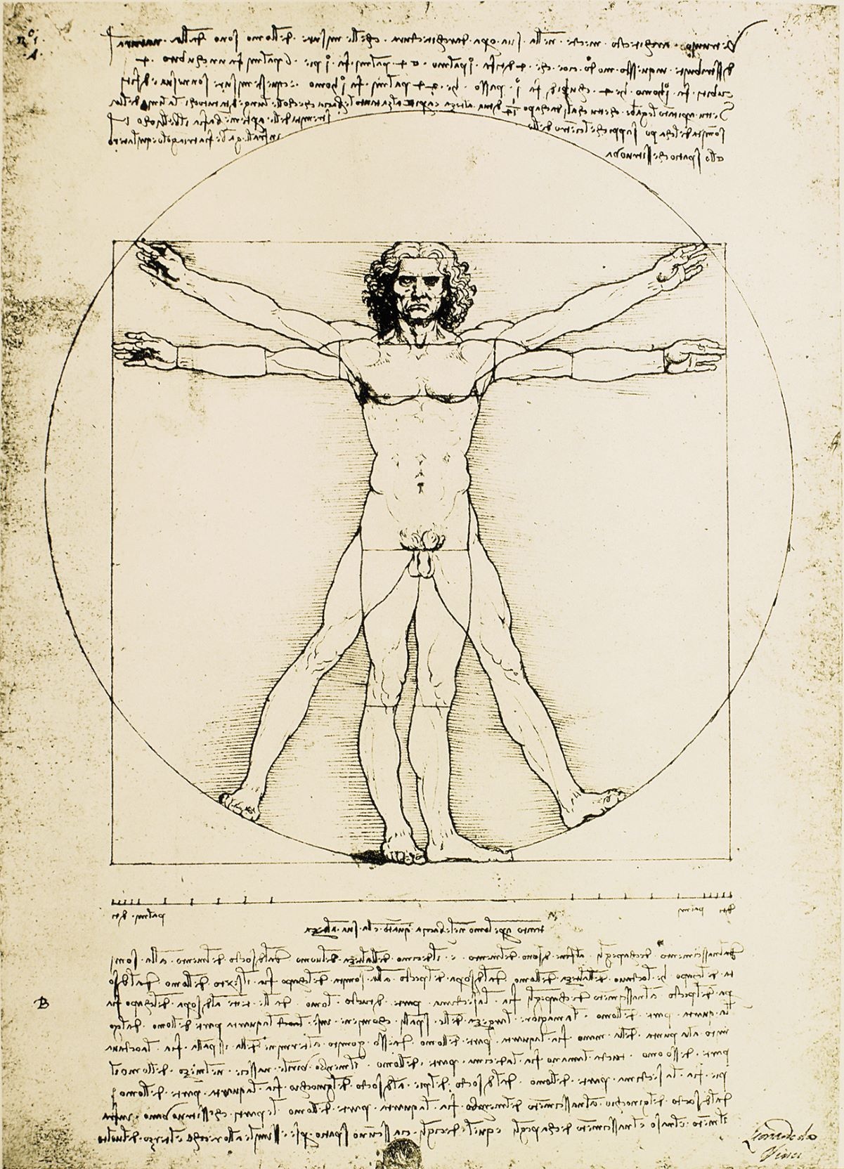 Leonardo Da Vinci anh 5