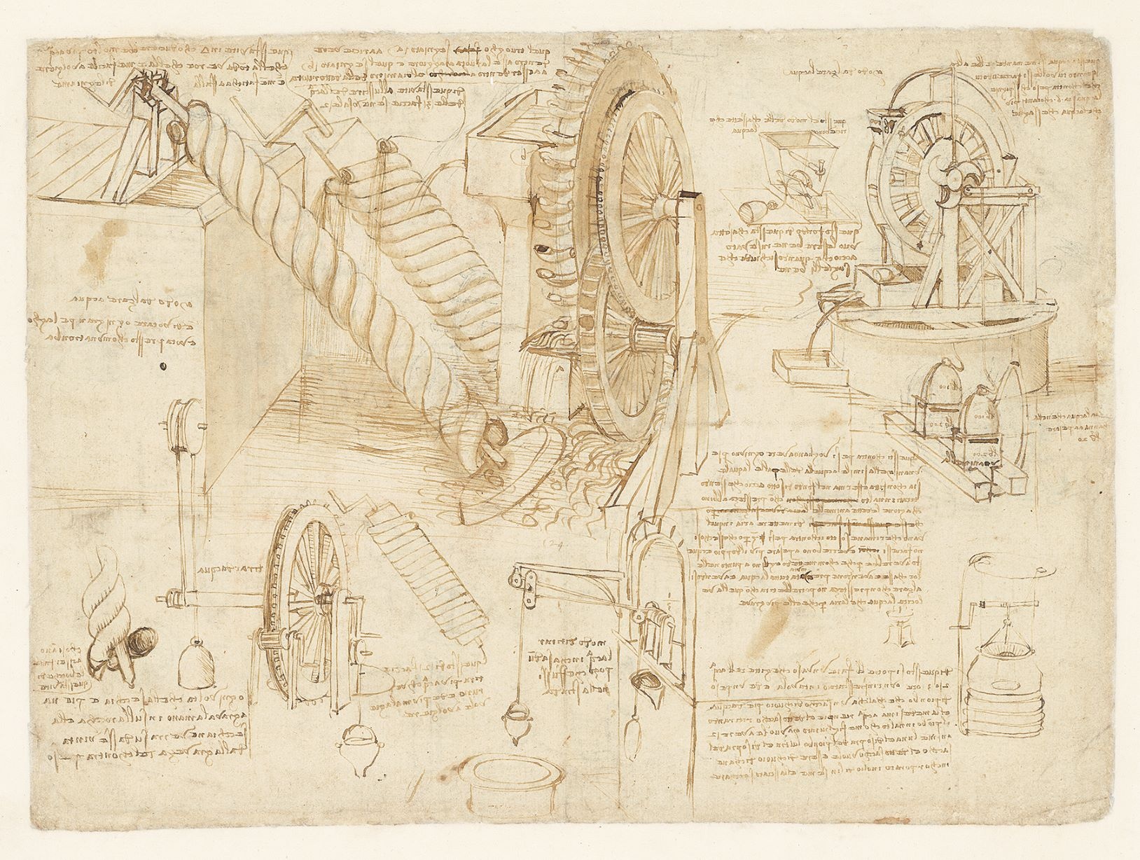 Leonardo Da Vinci anh 7