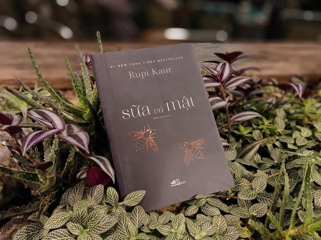 Sach hay Nha Nam 2019 anh 8