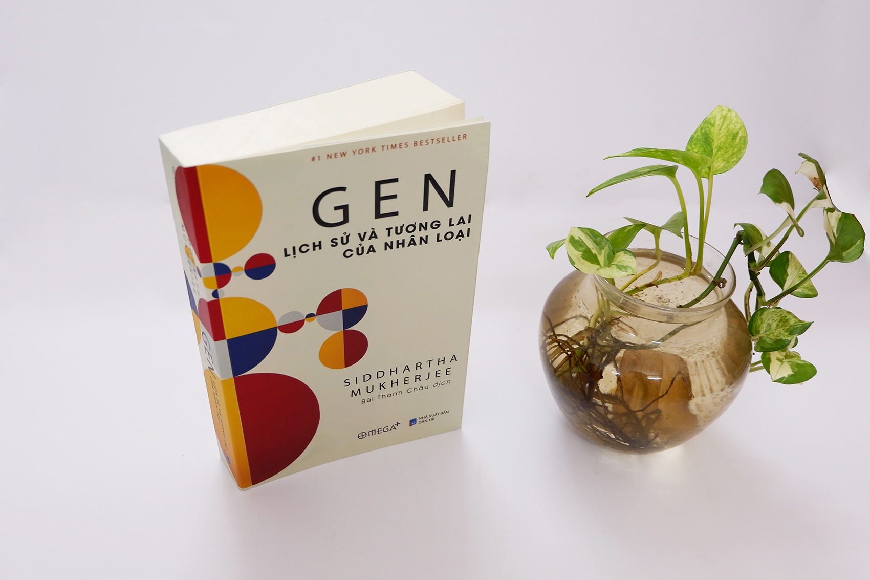 Sach noi bat 2019 cua Omega Plus anh 7