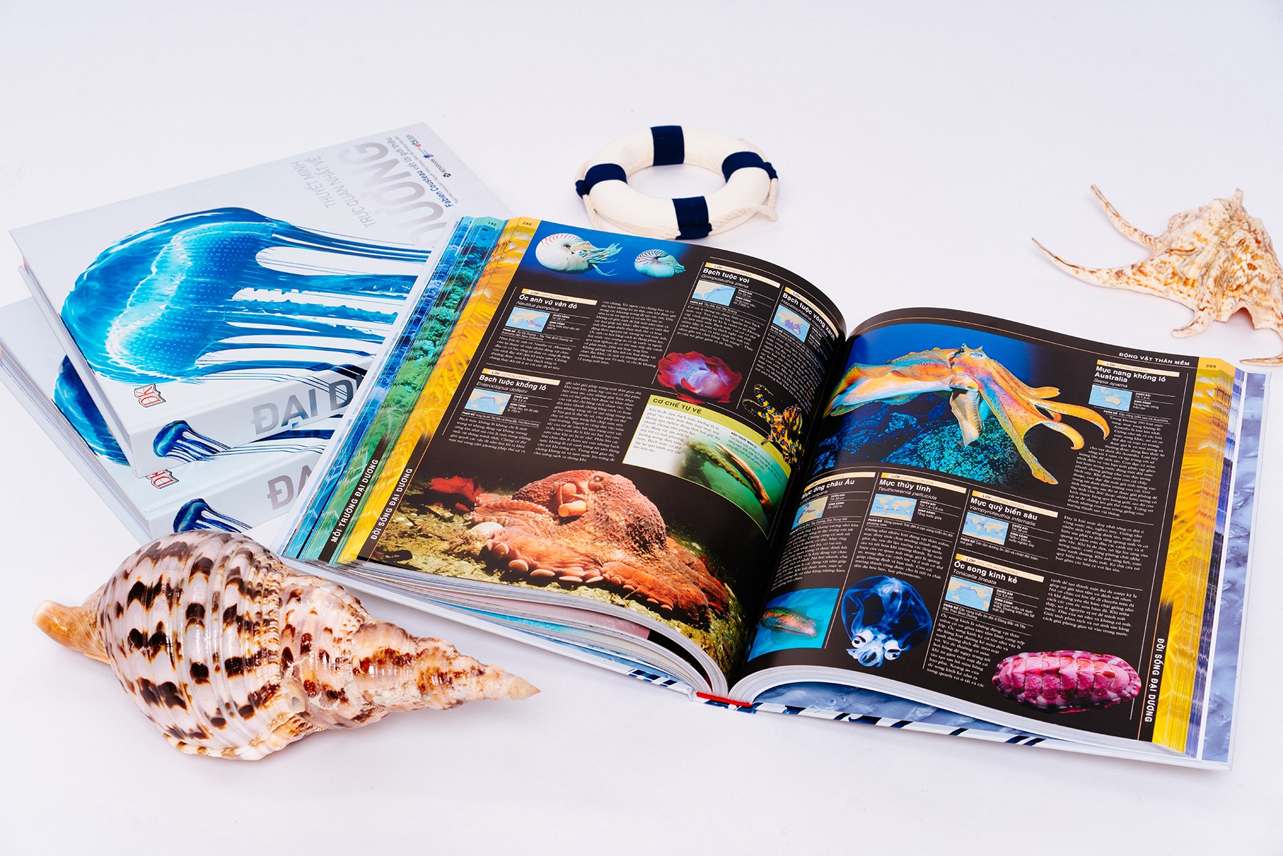 Bi an dai duong anh 2