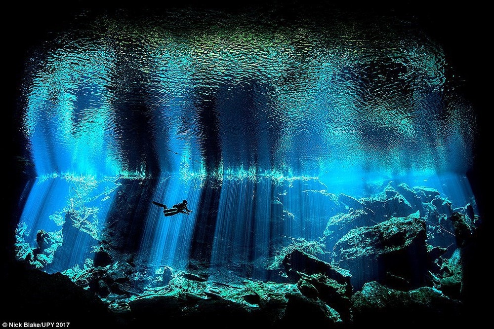 Bi mat tham tham van nam noi dai duong hinh anh