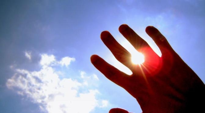 Doi ban tay gay dan duoi nang mua xuan hinh anh