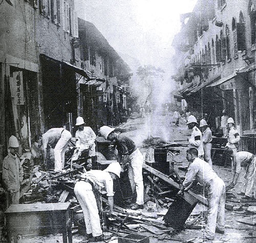 Bac si Yersin chong dich hach anh 1