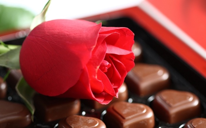 Valentine co don anh 1