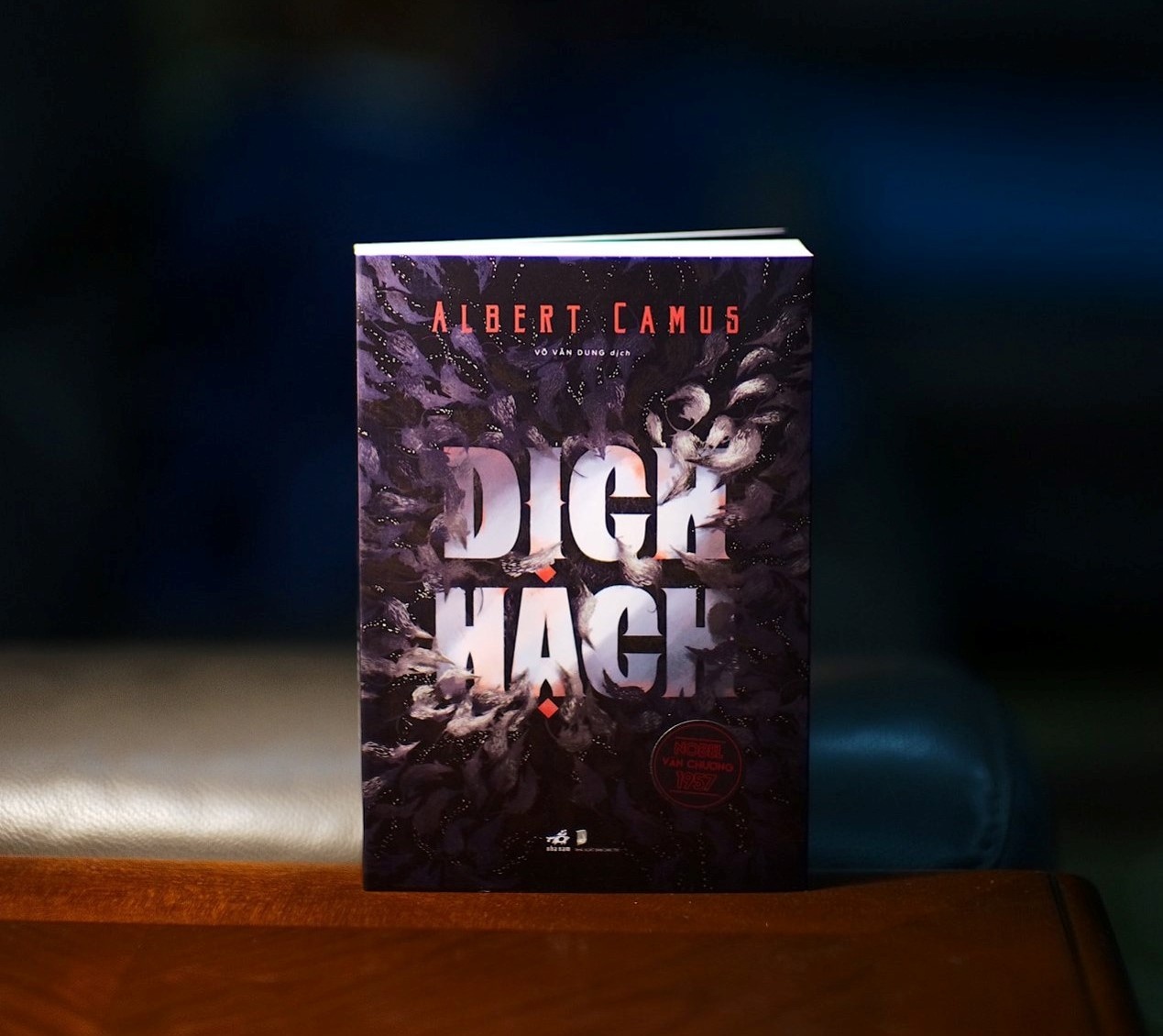 Doc Camus giua thoi Covid anh 1