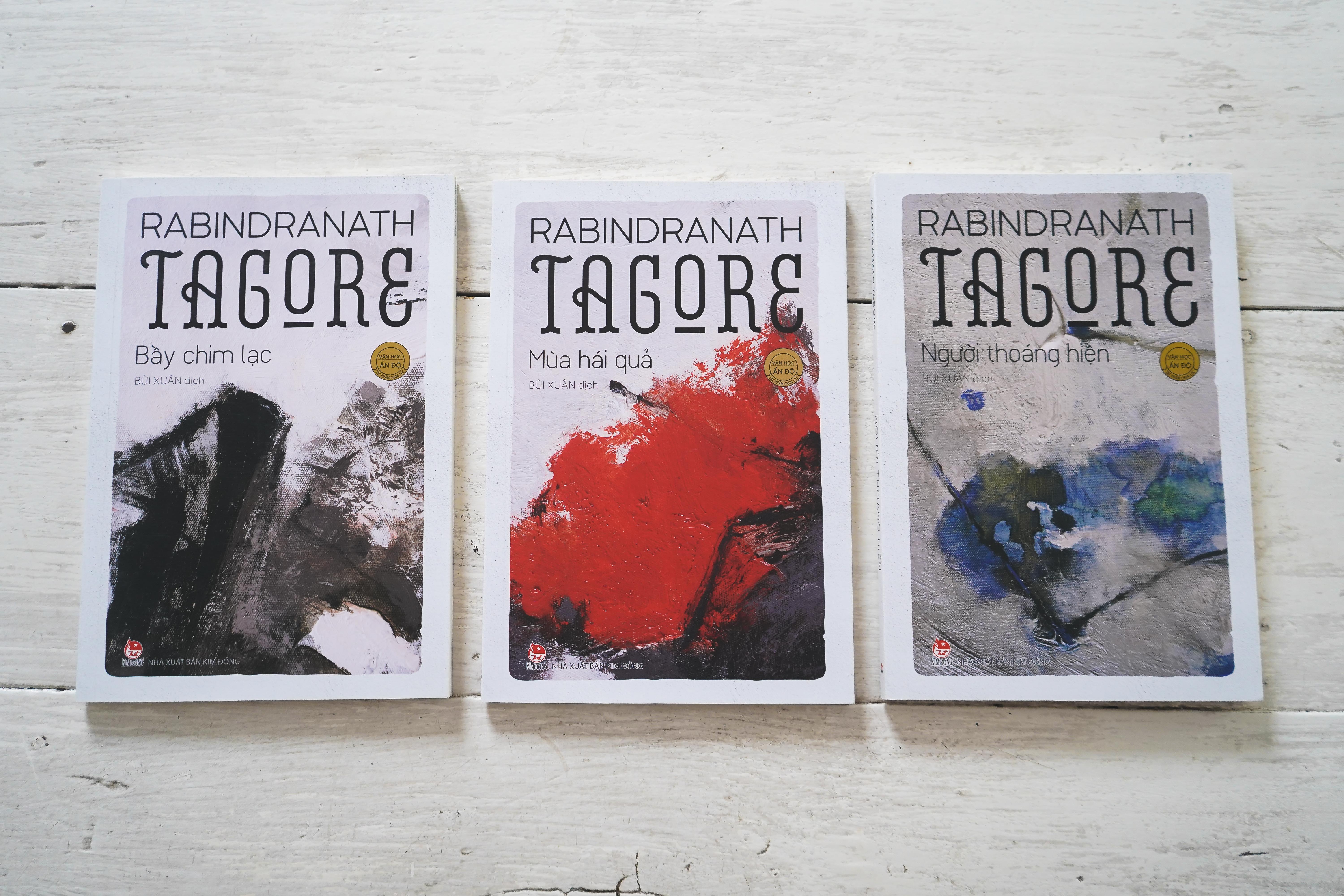 Moi duyen voi tho Tagore cua dich gia Bui Xuan hinh anh