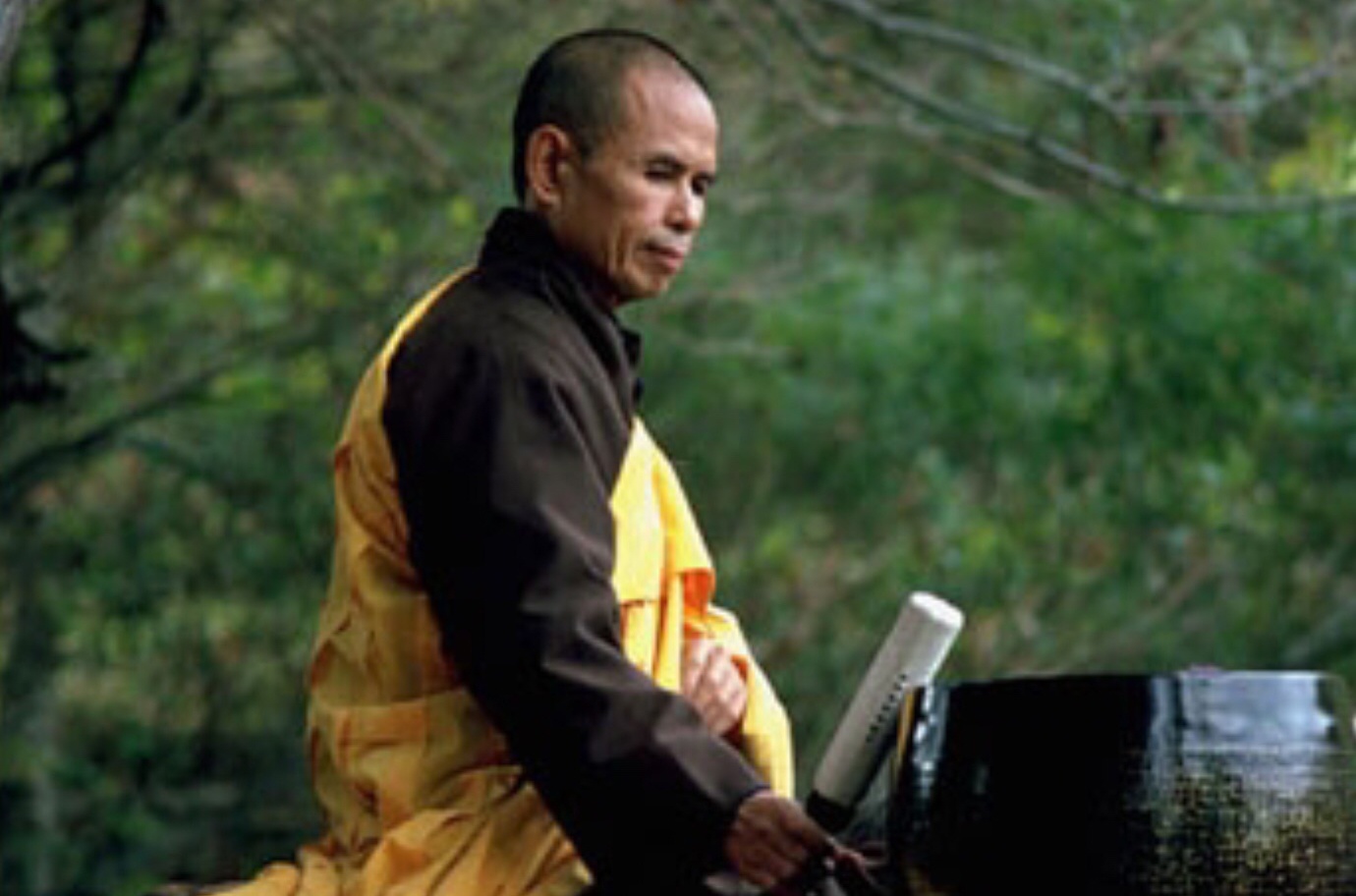 Lang nghe Thien su Thich Nhat Hanh 'Tam tinh voi dat me' hinh anh