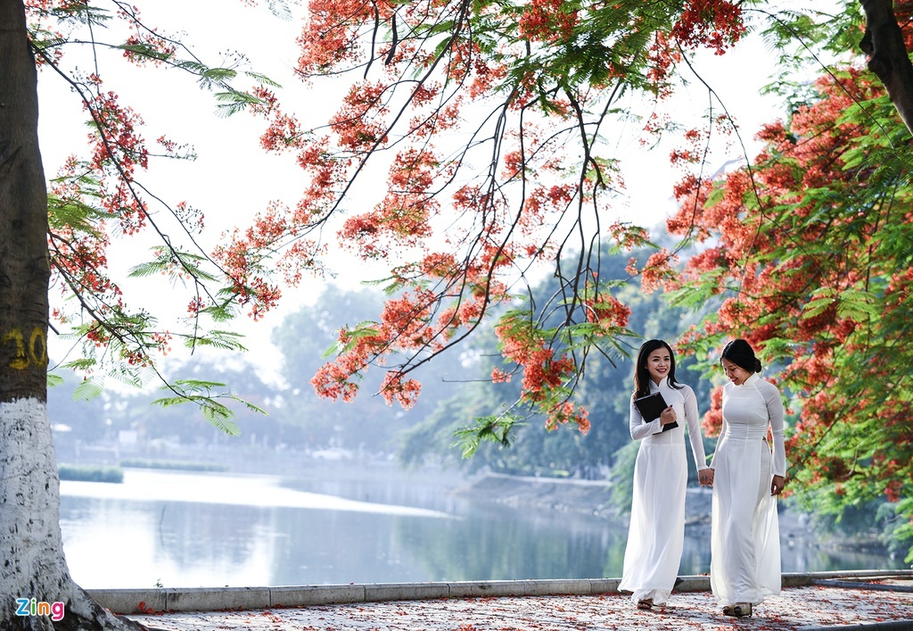 Tieng ve tuoi hoc tro anh 1