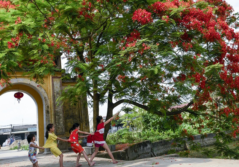 Nho nhung mua ve tuoi hoc tro da xa hinh anh