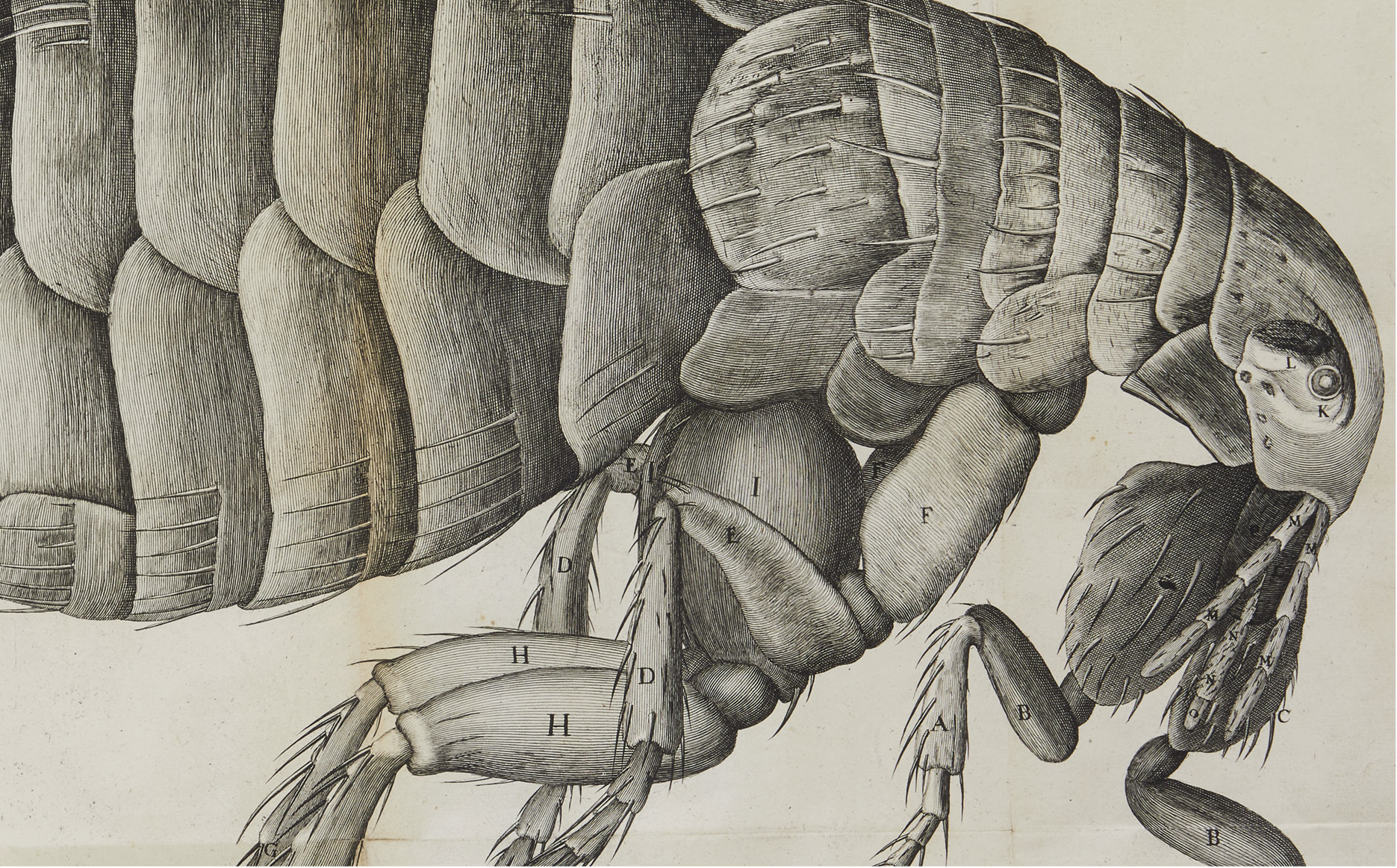 Sach cho gioi thuong luu hay sach cho moi nguoi? hinh anh