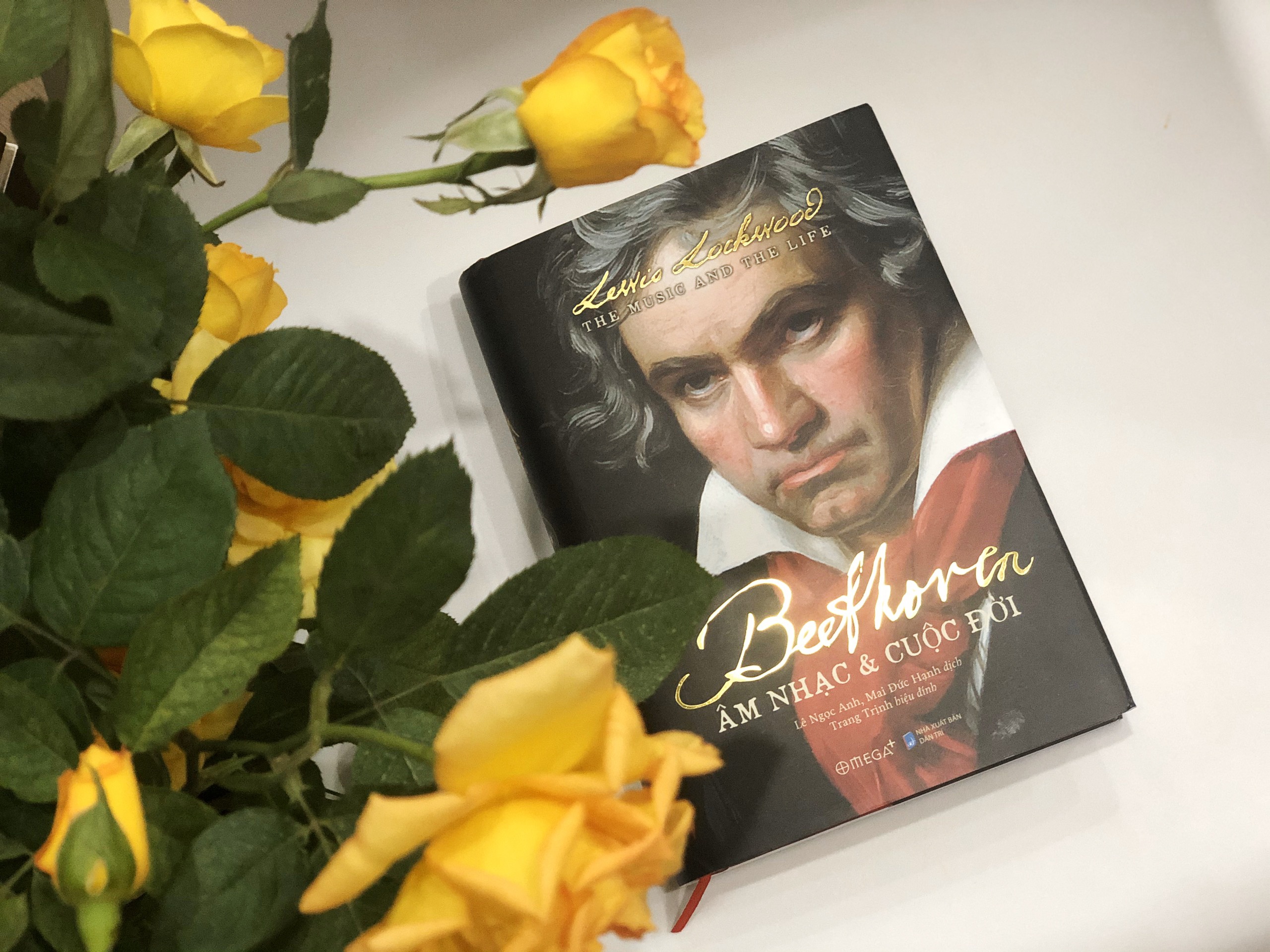 Cuoc doi Beethoven anh 1