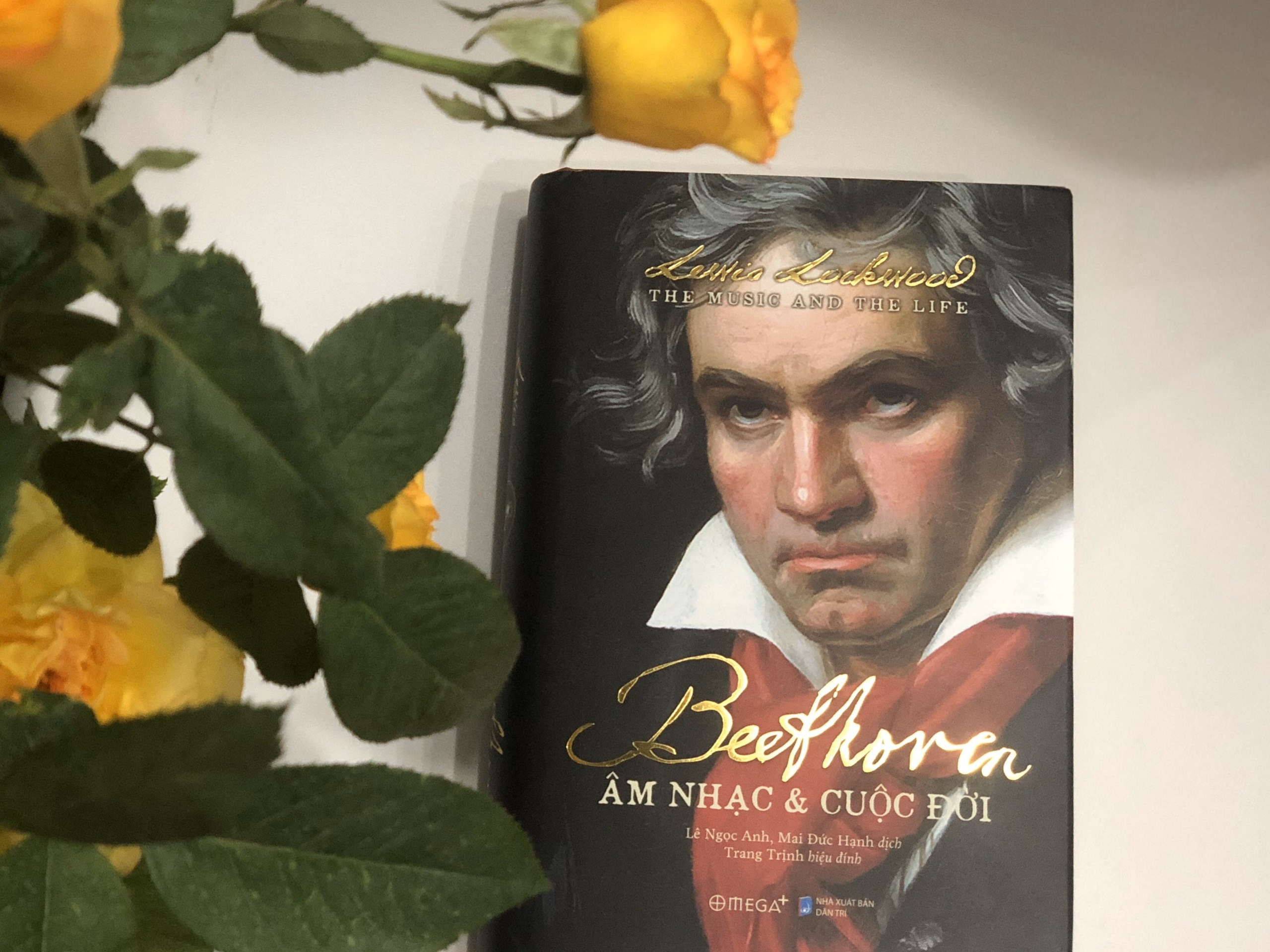 Beethoven vuot qua benh diec va nghich canh de giu ngon lua am nhac hinh anh