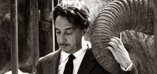 'Ke dien' voi ban kien nghi bao ton loai voi hinh anh