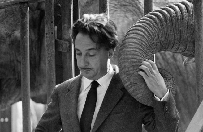 Bao ve loai voi anh 2