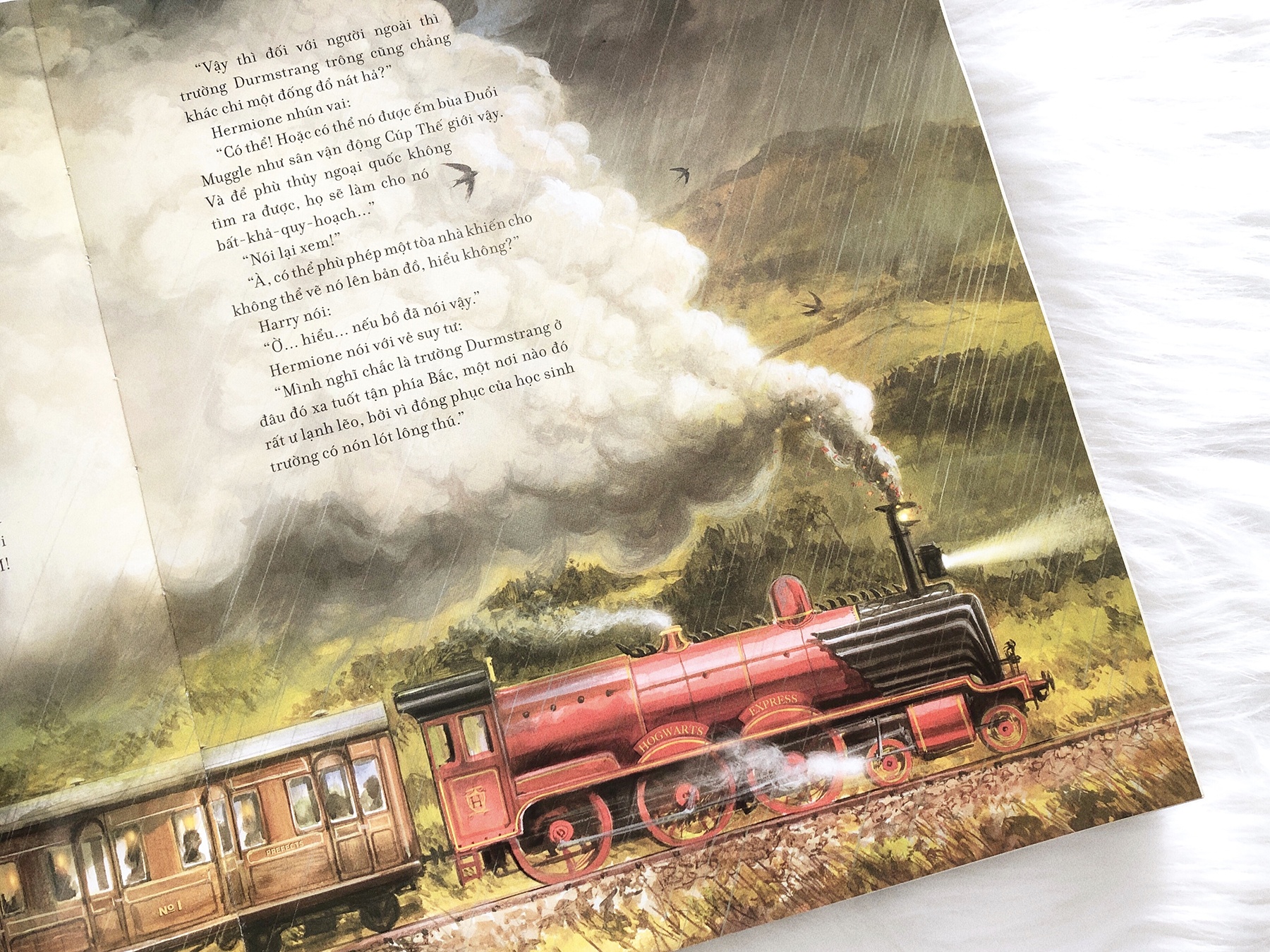 Minh hoa trong Harry Potter 4 anh 2