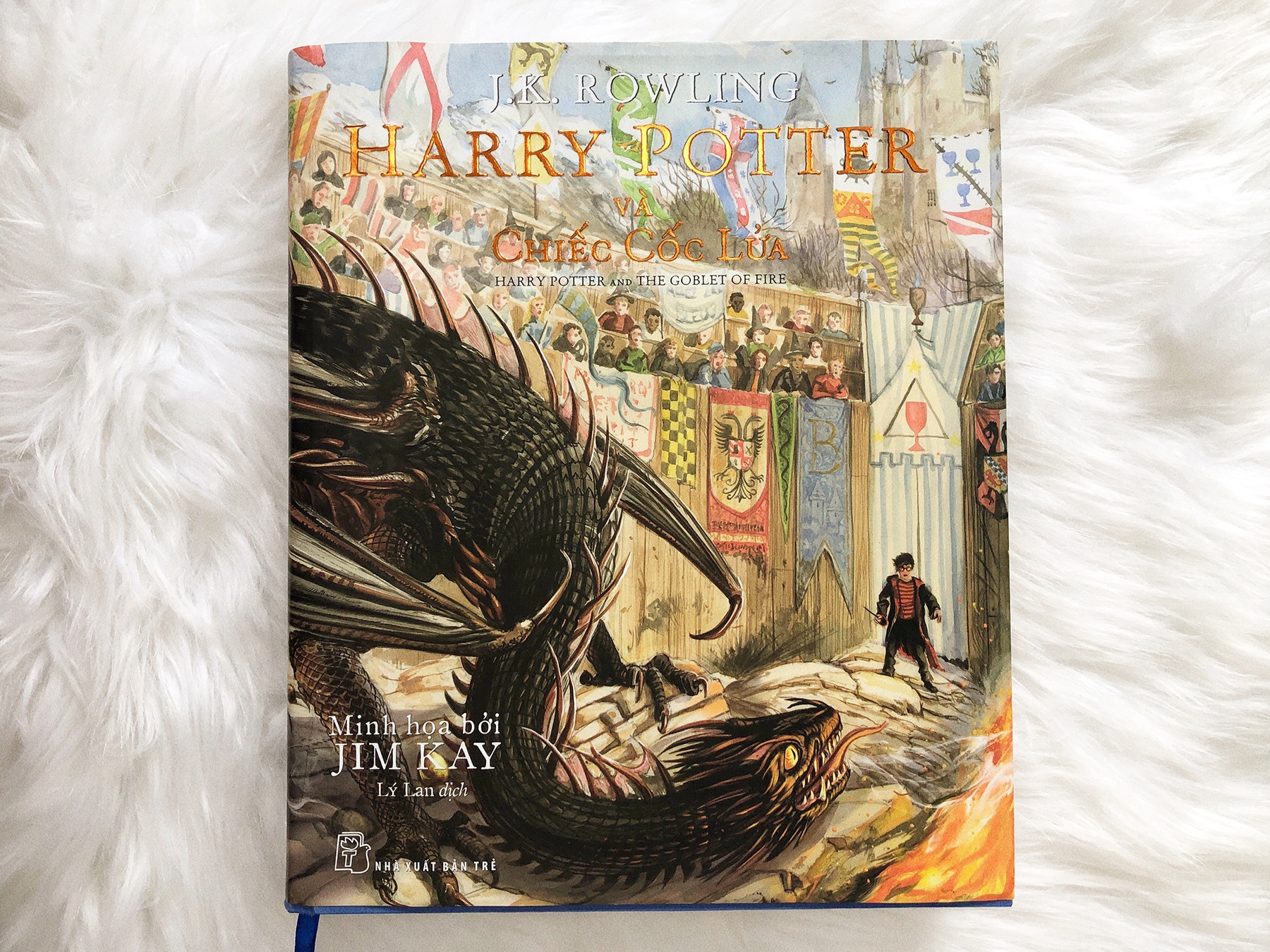 Minh hoa trong Harry Potter 4 anh 1