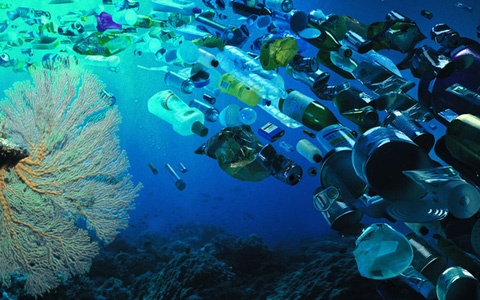 Tai sao danh 2 phut moi ngay co the cuu the gioi khoi rac nhua? hinh anh