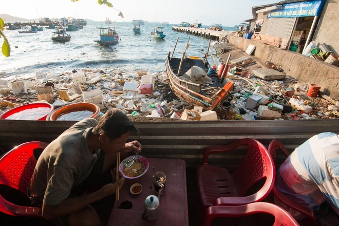 Con ac mong mang ten 'nhua' hinh anh