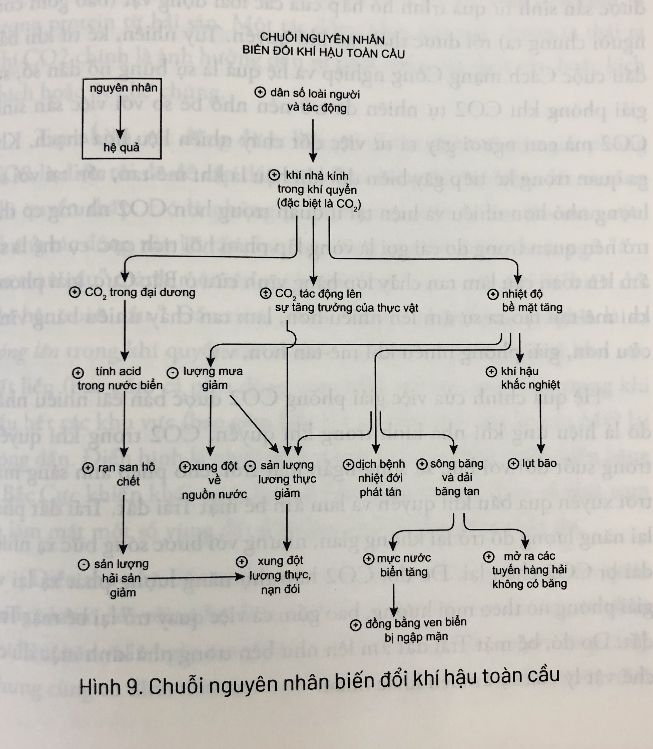 Bien doi khi hau anh 1