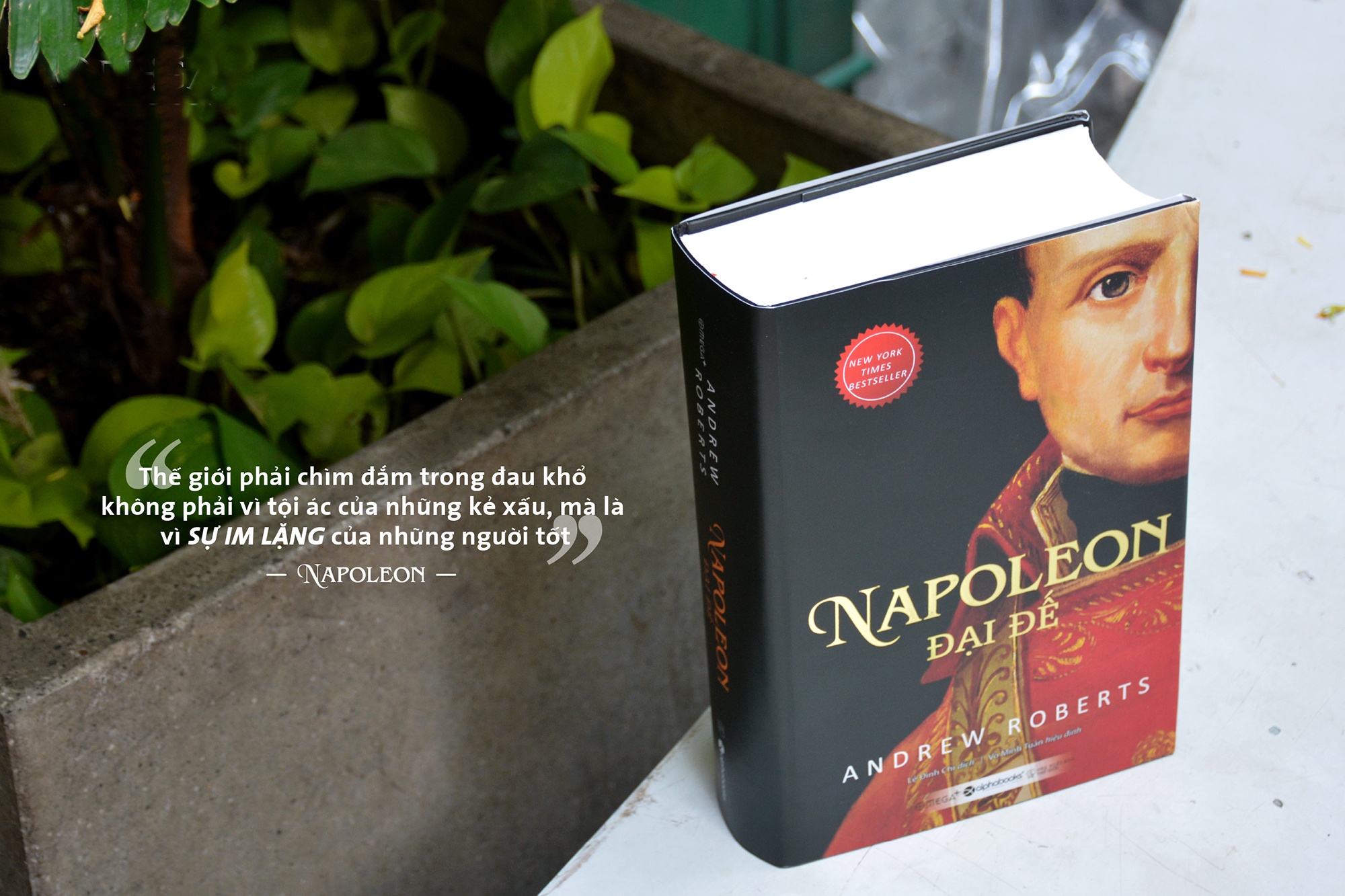 Cai cach cua Napoleon anh 1