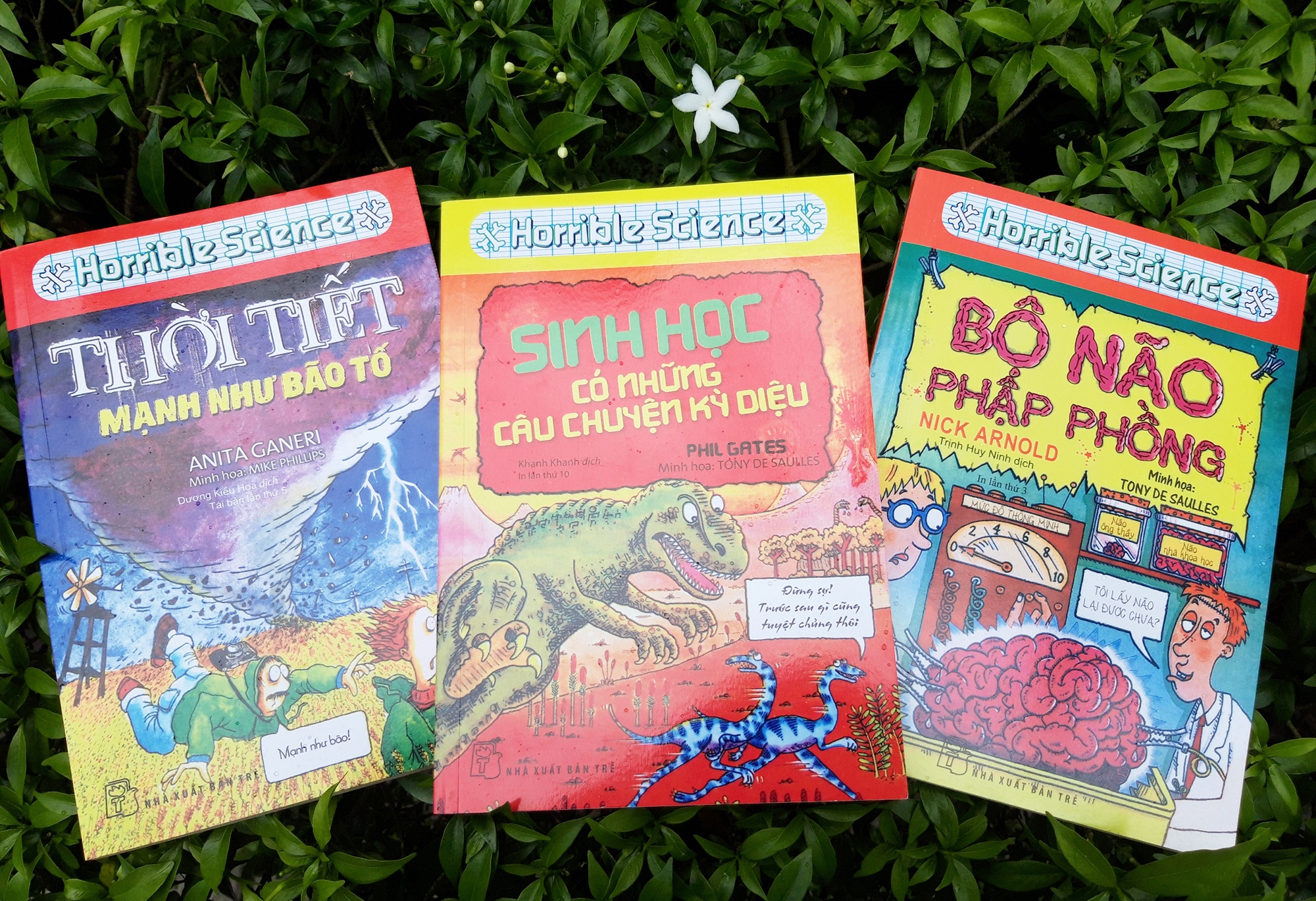 Doc sach mua dich anh 5