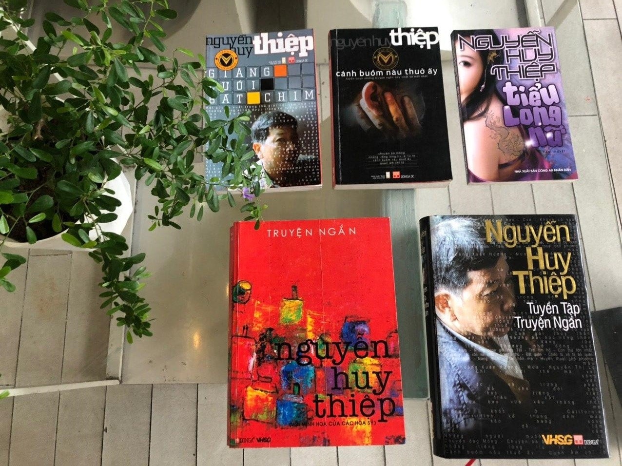 Truyen ngan Nguyen Huy Thiep anh 11