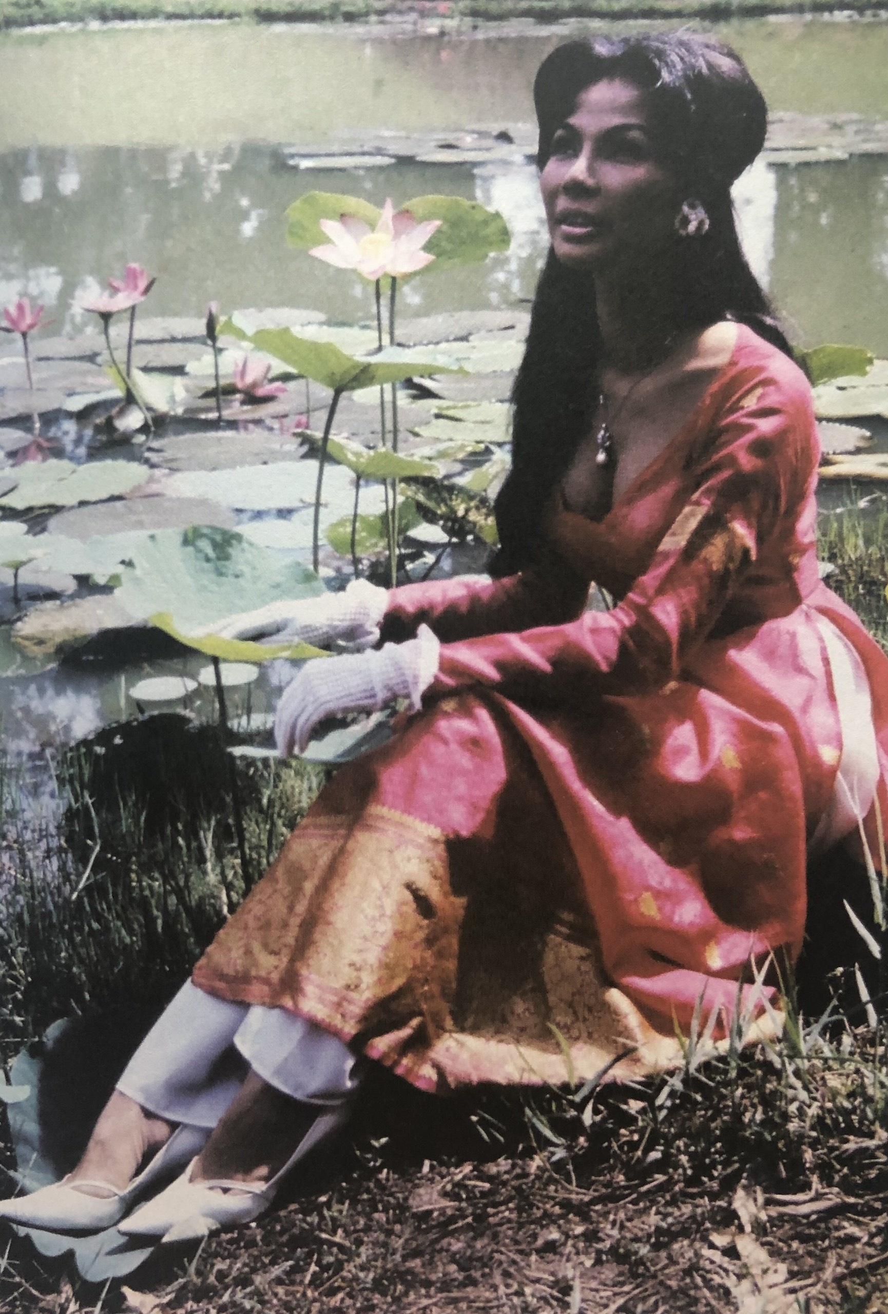 Ngoi sao dien anh mien Nam anh 7