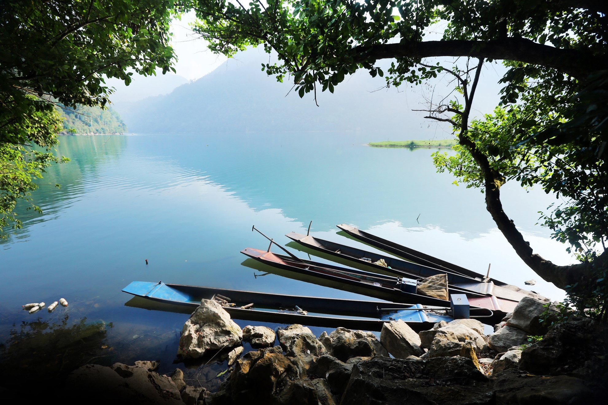 Mat ngoc rung xanh hinh anh