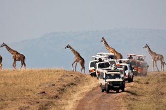 Chuyen thi bang lai o chau Phi hinh anh