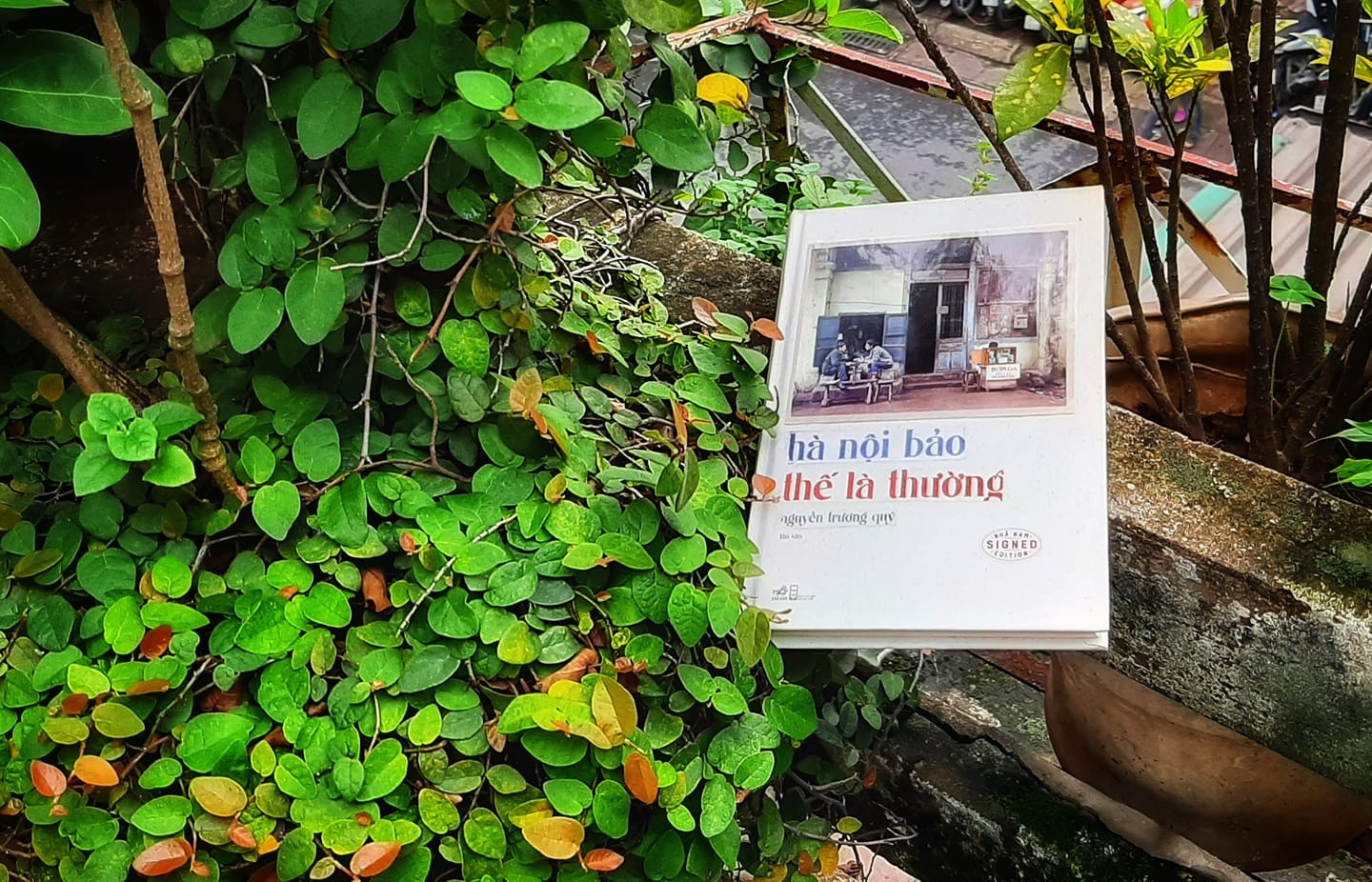 Ha Noi bao the la thuong anh 4