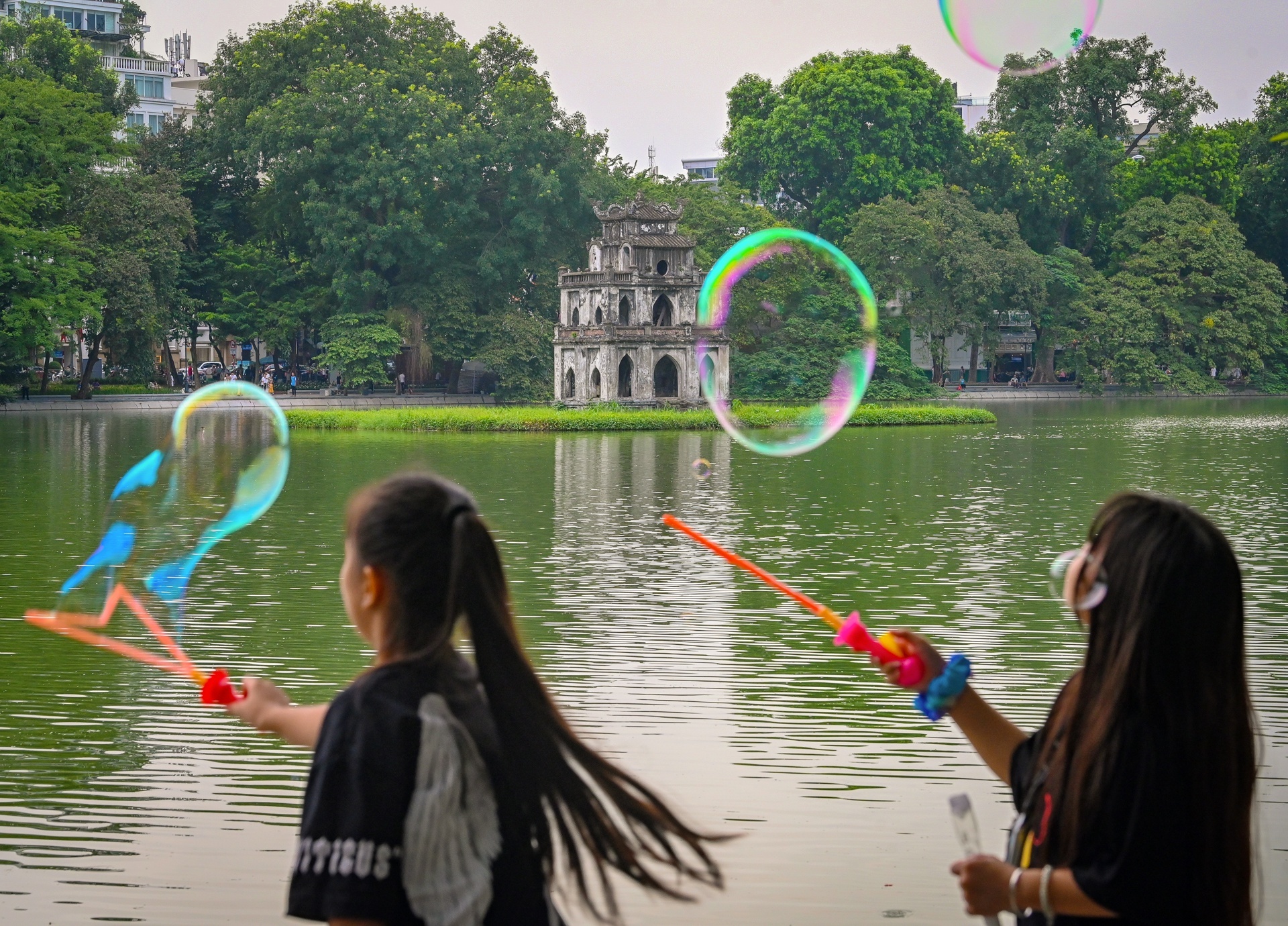 Loi ve tren bich hoa hinh anh