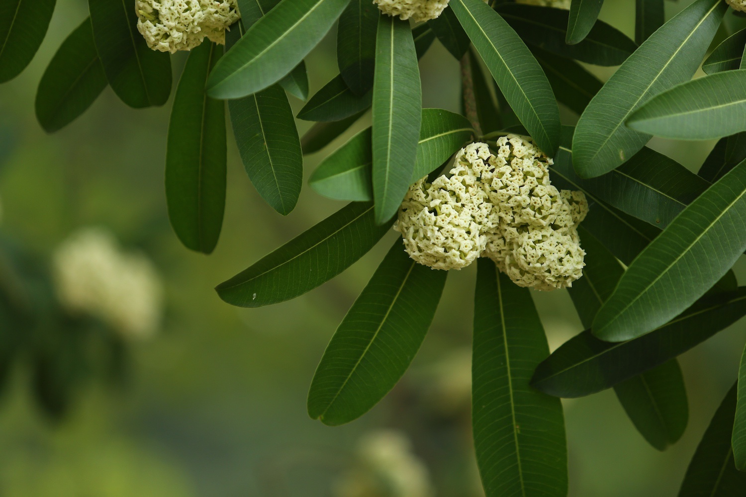 Dem Ha Noi nho hinh anh