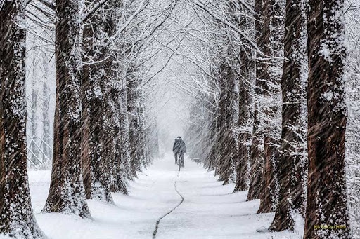 Co nhau ma co don hinh anh