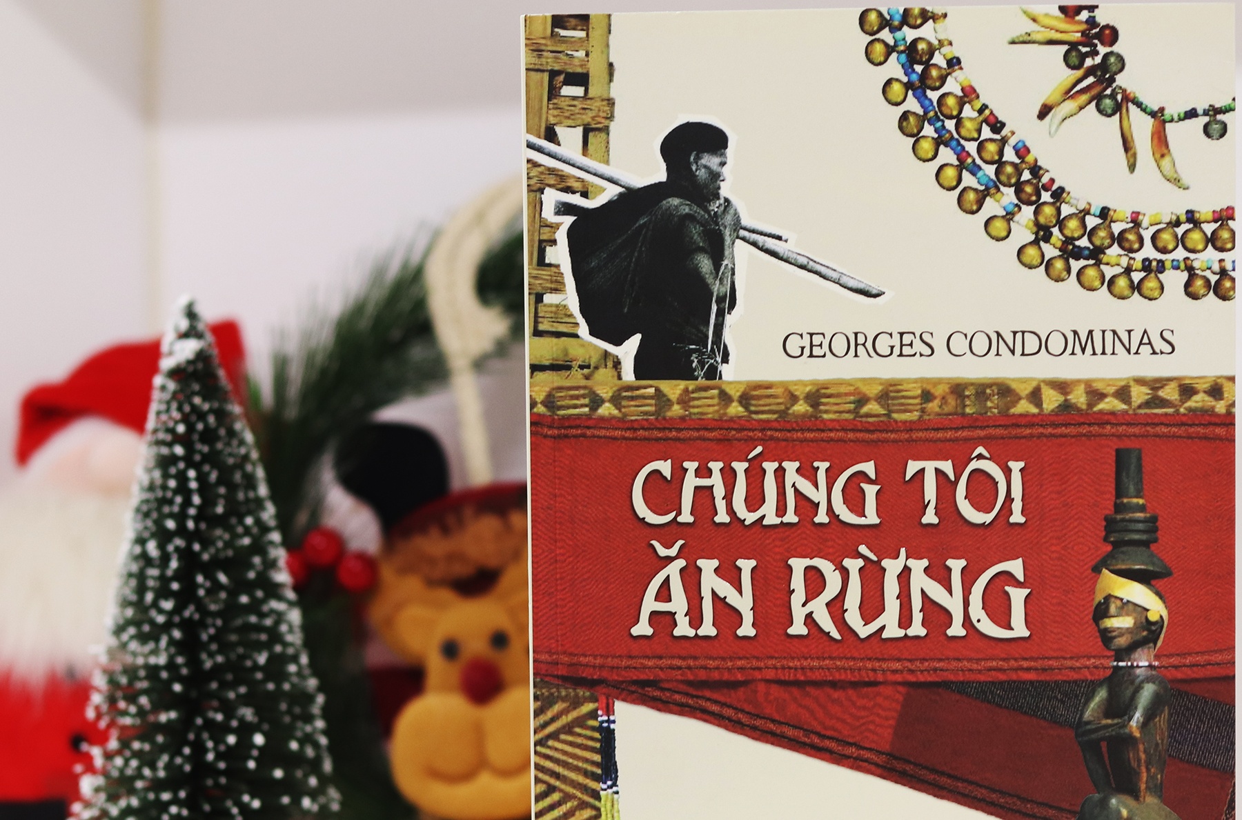 Doi song nguoi Mnong o Tay Nguyen qua 'Chung toi an rung' hinh anh