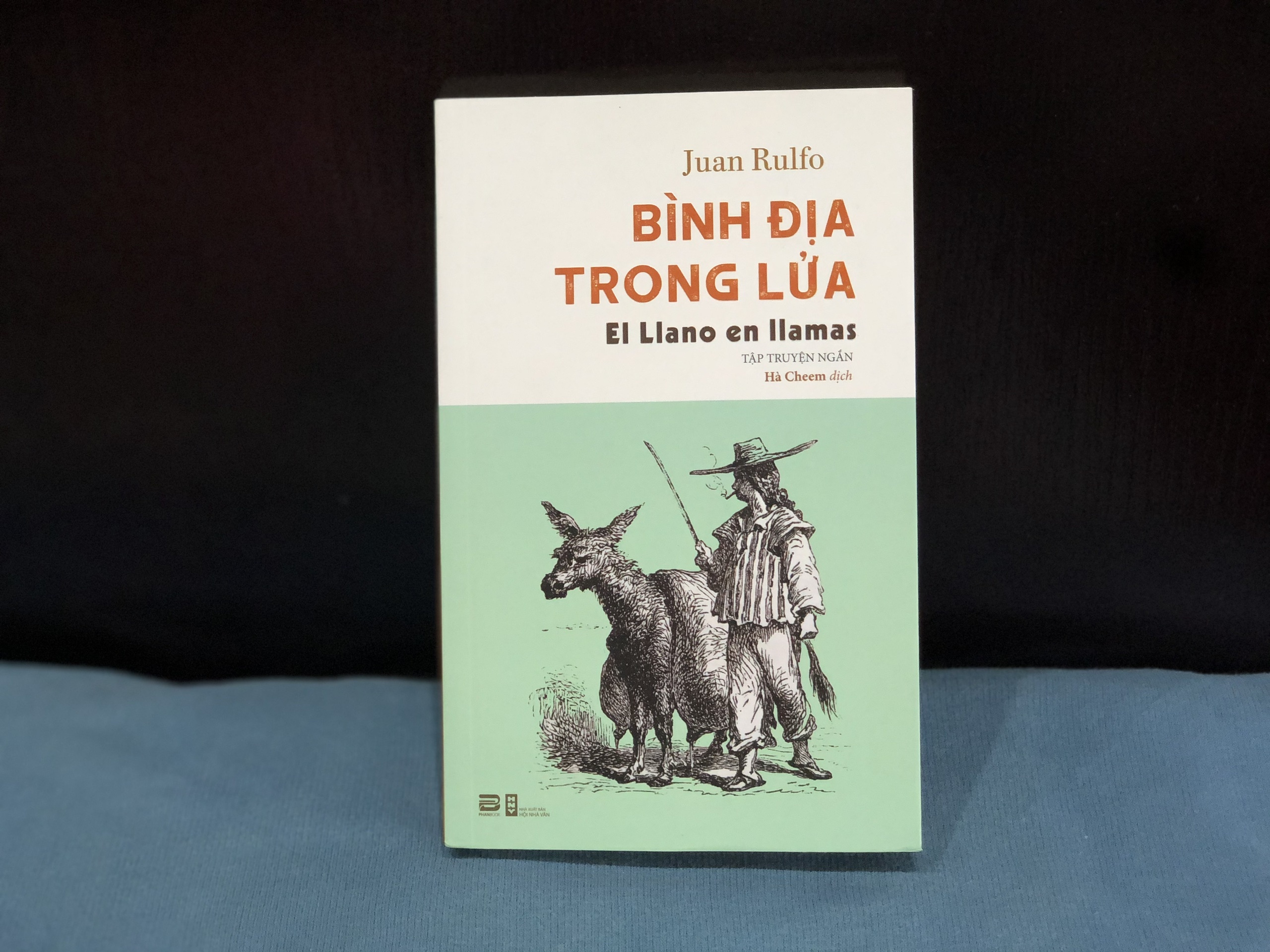 Binh Dia trong lua anh 1