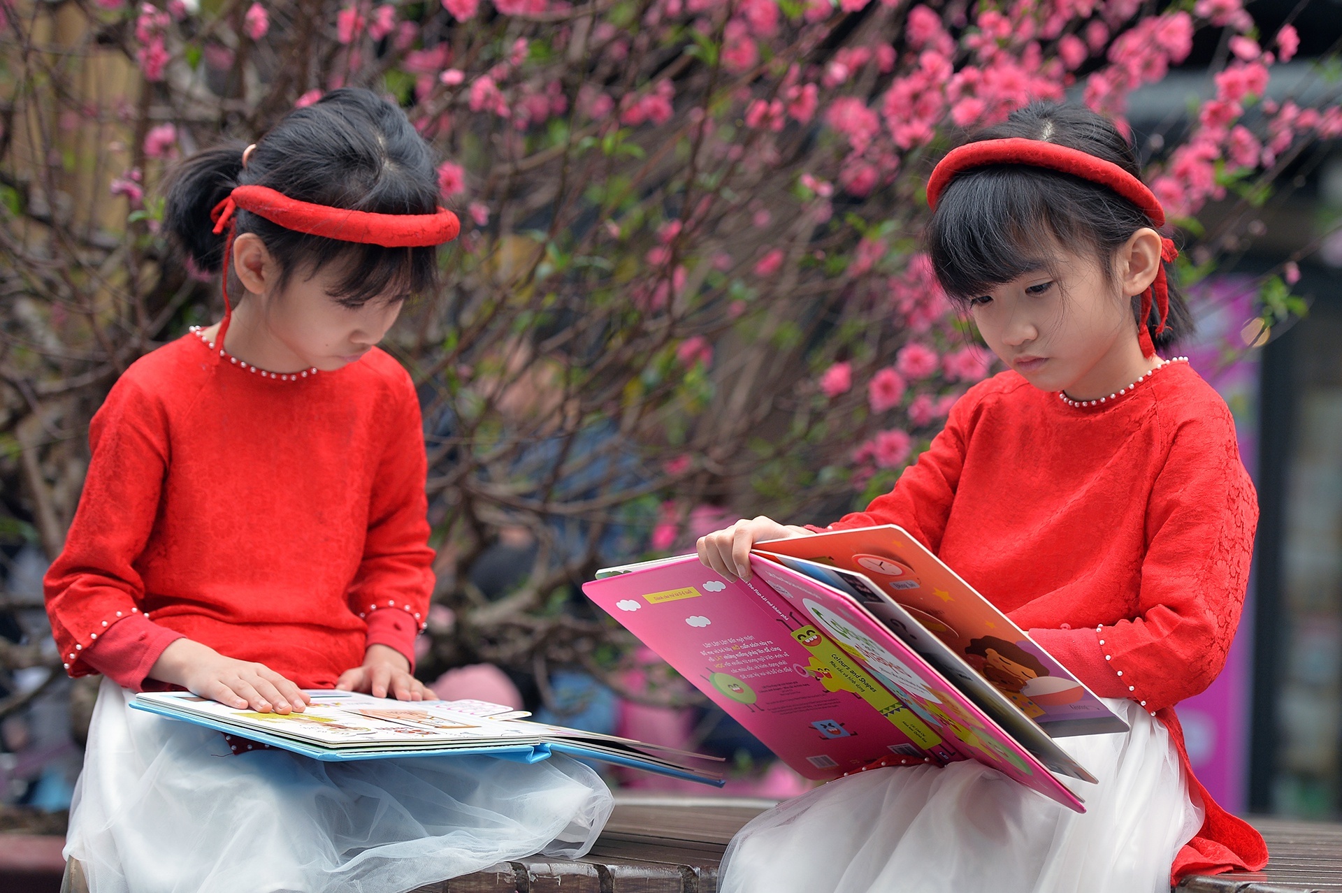 Li xi bang sach - van hoa dep ngay Tet hinh anh