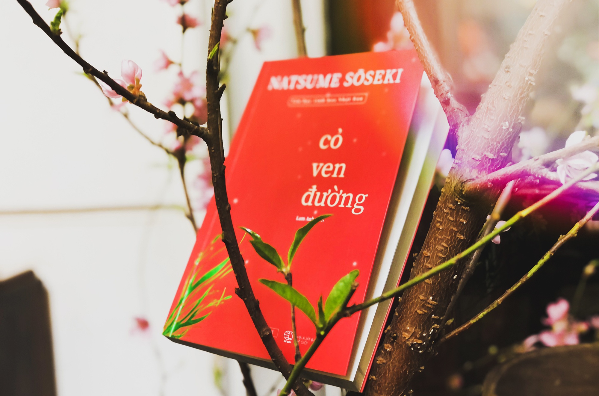 Trach nhiem cua nguoi dan ong voi gia dinh trong 'Co ven duong' hinh anh