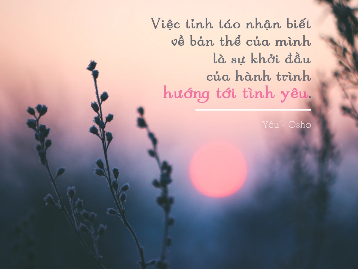 Huong den tinh yeu anh 1