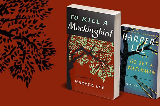 Nhung bia sach xuat hien nhieu tren mang xa hoi hinh anh