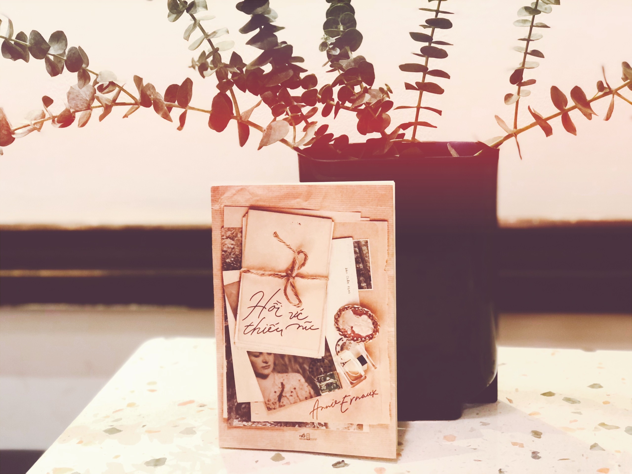 Hoi uc mot thieu nu anh 1