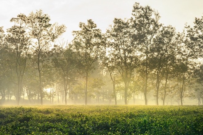 ve dep Tay Nguyen anh 1