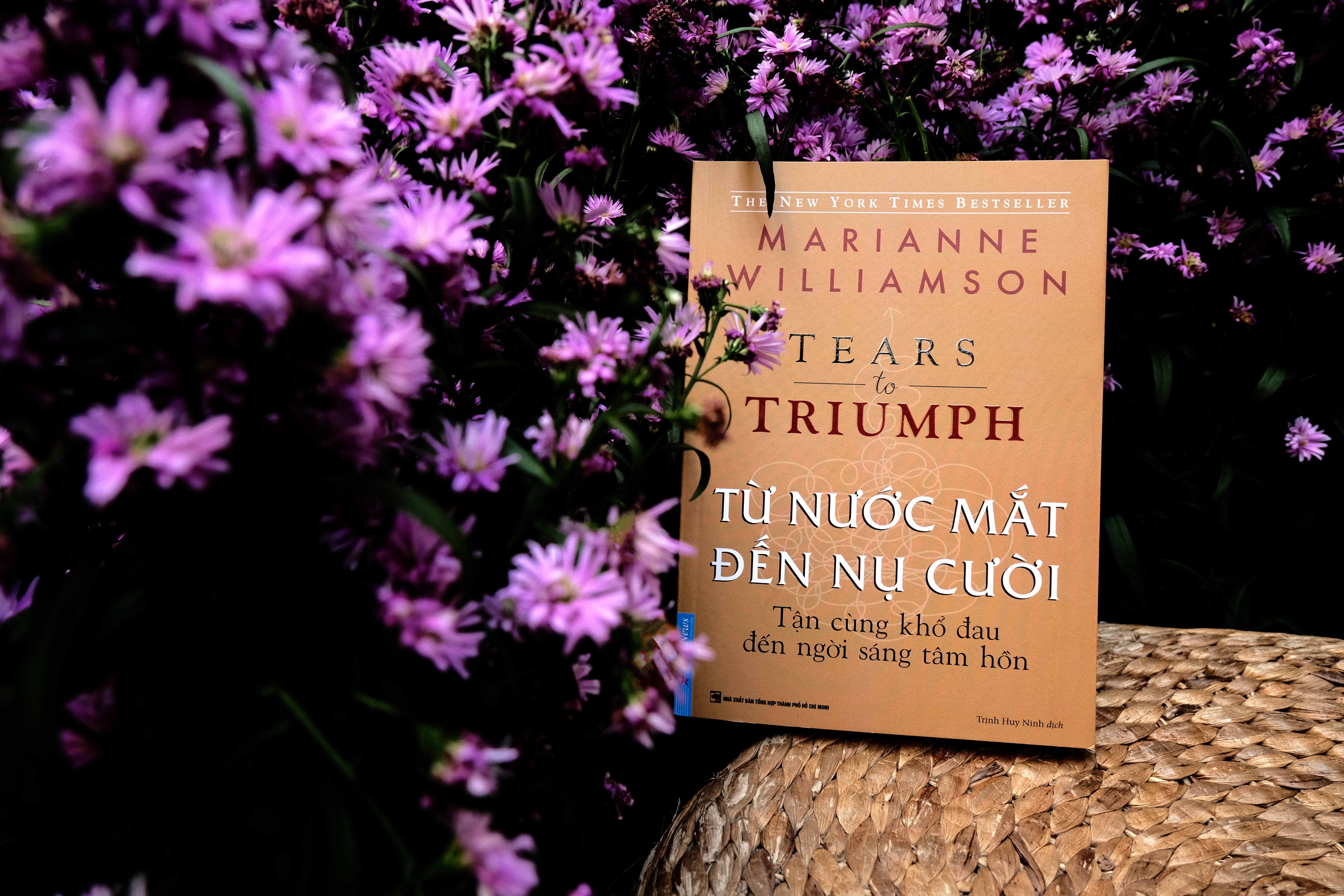 Ta nhan duoc gi tu noi dau? hinh anh