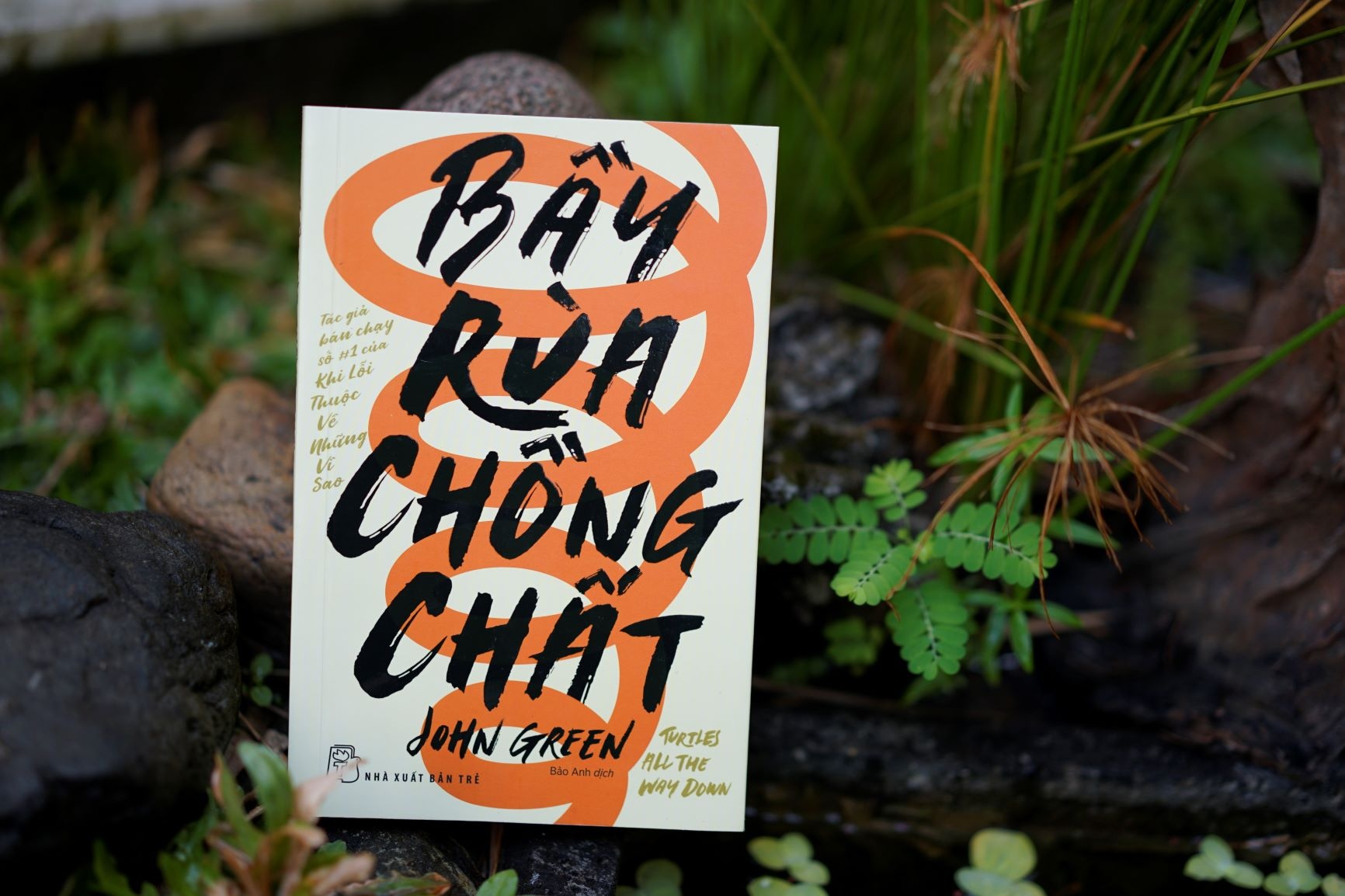 Bay rua chong chat anh 1