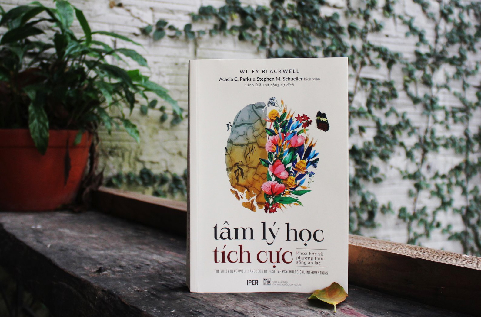 Nhung bien phap tam ly tich cuc giup song an vui hinh anh