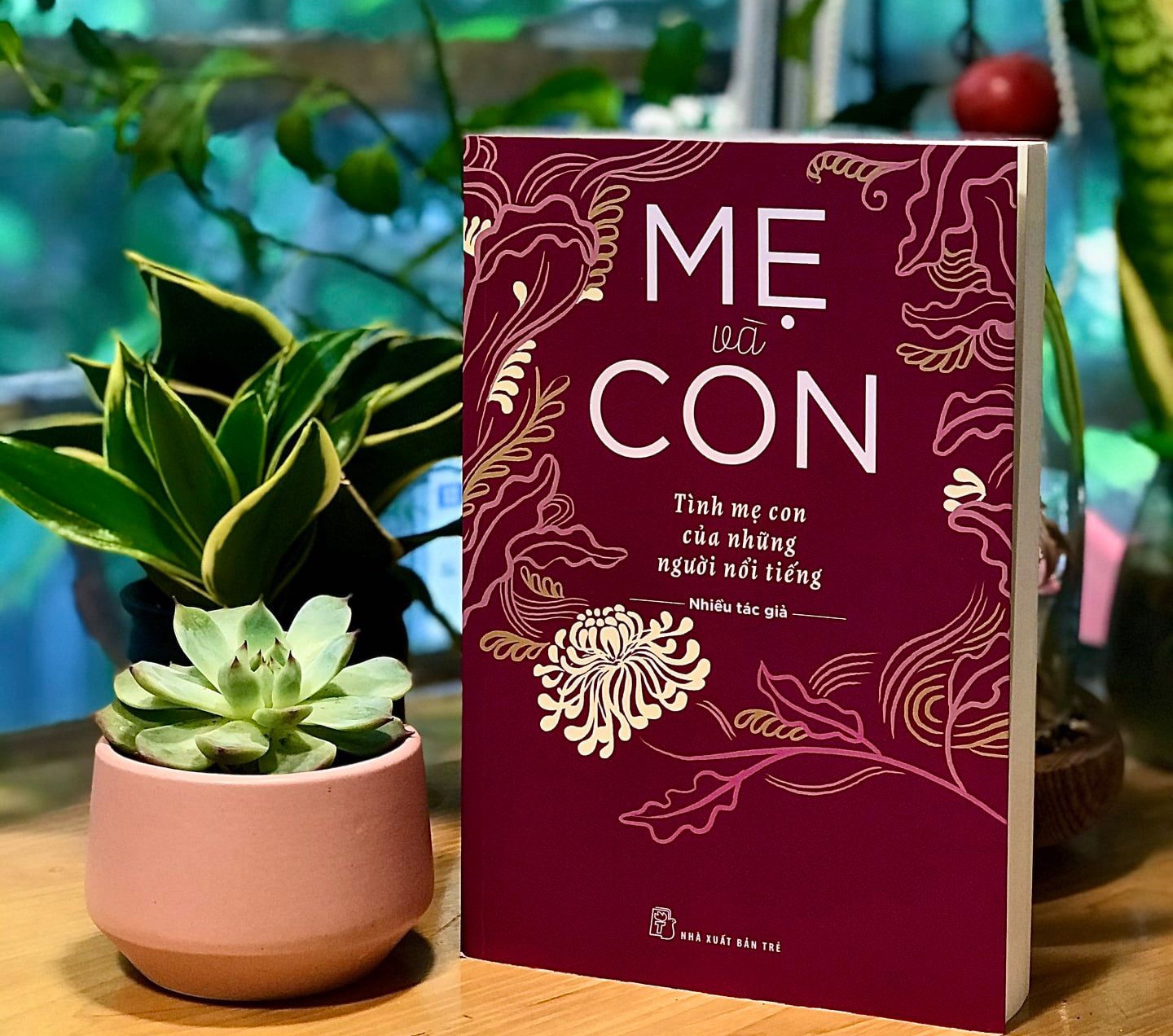 Sach hay ve me anh 2